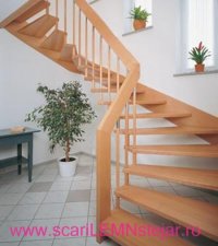 scari interioare din lemn 20477